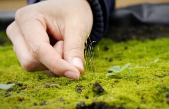 Chía implementa nuevo sistema para monitorear especies nativas