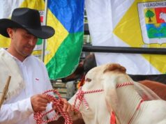 Cundinamarca invirtió $100 millones y ya nacieron 130 terneros