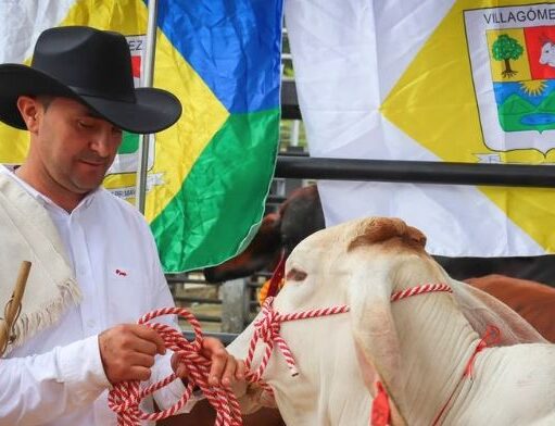 Cundinamarca invirtió $100 millones y ya nacieron 130 terneros