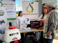 Fusagasugá impulsa al Sumapaz como región líder en producción de aguacate