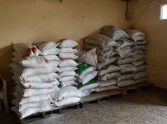 Sibaté entrega apoyo a productores para enfrentar el fenómeno de El Niño