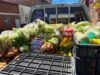 Sibaté fortalece la seguridad alimentaria con “Semillas para la Vida”