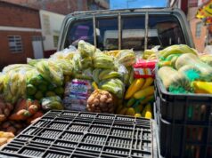 Sibaté fortalece la seguridad alimentaria con “Semillas para la Vida”