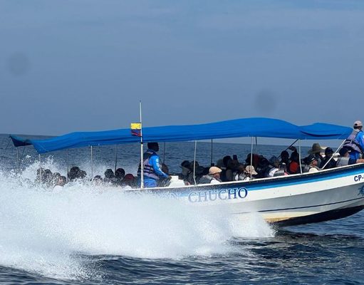 207 adultos mayores de Cajicá vivieron una experiencia lúdico-pedagógica