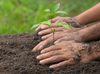 Cajicá abrió concurso para reconocer iniciativas ambientales