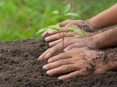 Cajicá abrió concurso para reconocer iniciativas ambientales