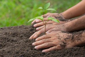Cajicá abrió concurso para reconocer iniciativas ambientales