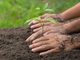 Cajicá abrió concurso para reconocer iniciativas ambientales