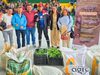 Cundinamarca fortalece la producción de fríjol