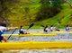 Cundinamarca invita a descubrir sus parques y ecosistemas