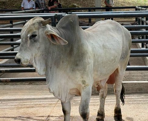 Fusagasugá impulsa a productores y emprendedores locales