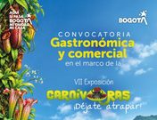 Jardín Botánico de Bogotá busca negocios para su VII exposición