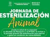 Mosquera invita a esterilizar animales de compañía