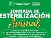 Mosquera invita a esterilizar animales de compañía