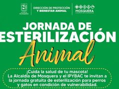 Mosquera invita a esterilizar animales de compañía
