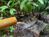 San Antonio del Tequendama protege la quebrada Los Cristales tras denuncia