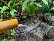 San Antonio del Tequendama protege la quebrada Los Cristales tras denuncia