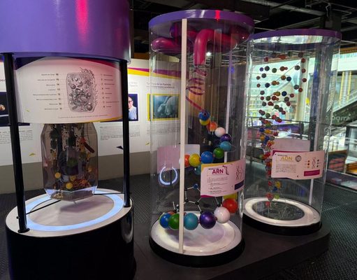 Sibaté lleva a más de 1.000 niños a vivir experiencias en Maloka