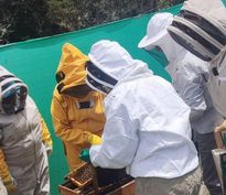 Abejas y biodiversidad, protagonistas de jornada ambiental en Sibaté