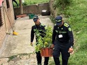 Bermejal recibe jornada ambiental con la siembra de 1.350 árboles