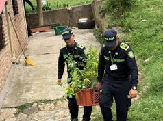Bermejal recibe jornada ambiental con la siembra de 1.350 árboles