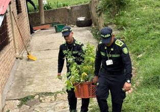 Bermejal recibe jornada ambiental con la siembra de 1.350 árboles