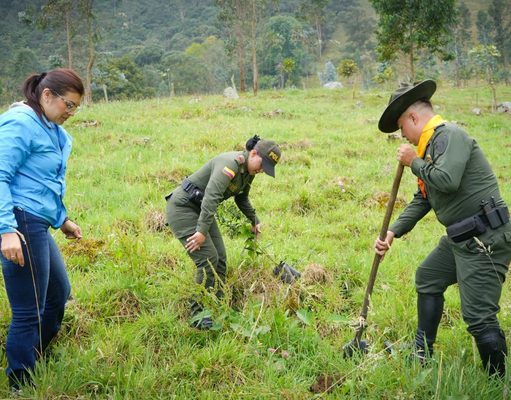 Fusagasugá busca proteger las fuentes hídricas