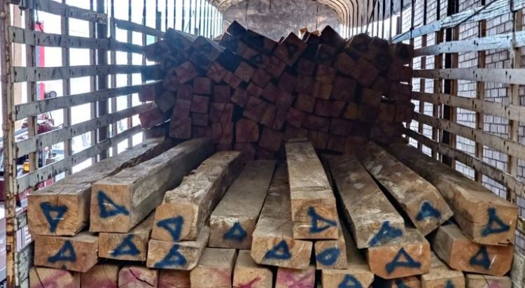 CAR decomisa madera que será usada para reconstruir zonas afectadas por terremoto