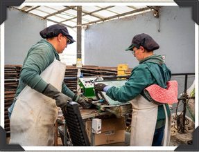 Madrid destaca el aporte de sus productores agrícolas