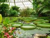Planetario de Bogotá invita a explorar el universo durante octubre