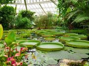 Planetario de Bogotá invita a explorar el universo durante octubre