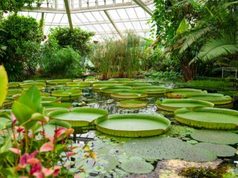 Planetario de Bogotá invita a explorar el universo durante octubre