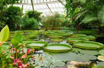 Planetario de Bogotá invita a explorar el universo durante octubre