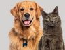 Tocancipá celebrará el Día Mundial de los Animales