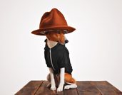 Vacunación antirrábica, desparasitación y consulta veterinaria en Cajicá