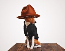 Vacunación antirrábica, desparasitación y consulta veterinaria en Cajicá